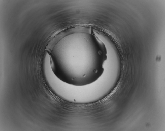 X0000099451161200806061059