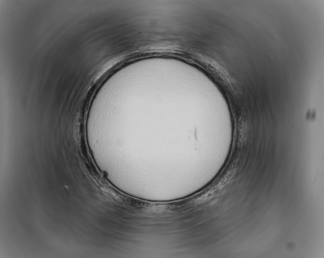 X0000099451162200806061059