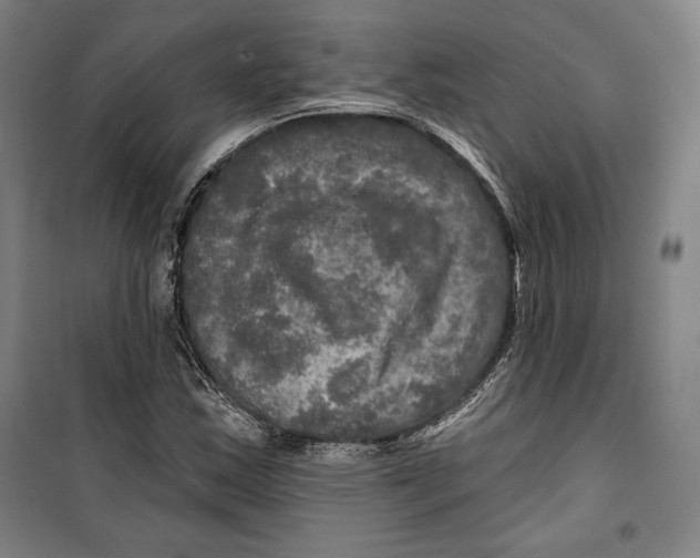 X0000099451163200806061059