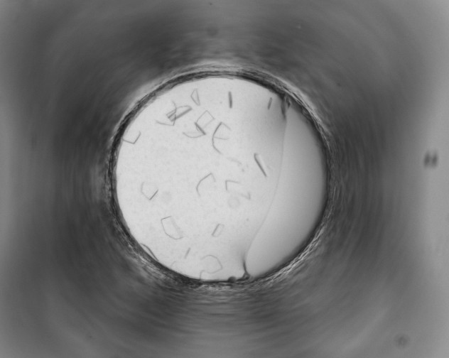 X0000099451168200806061059