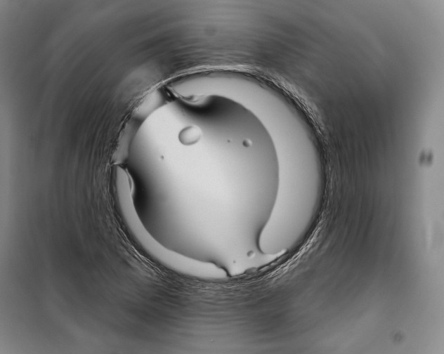 X0000099451169200806061059