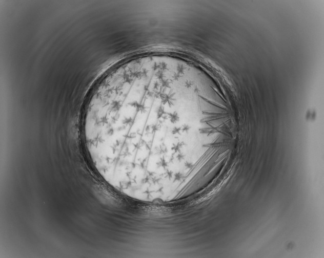 X0000099451170200806061059