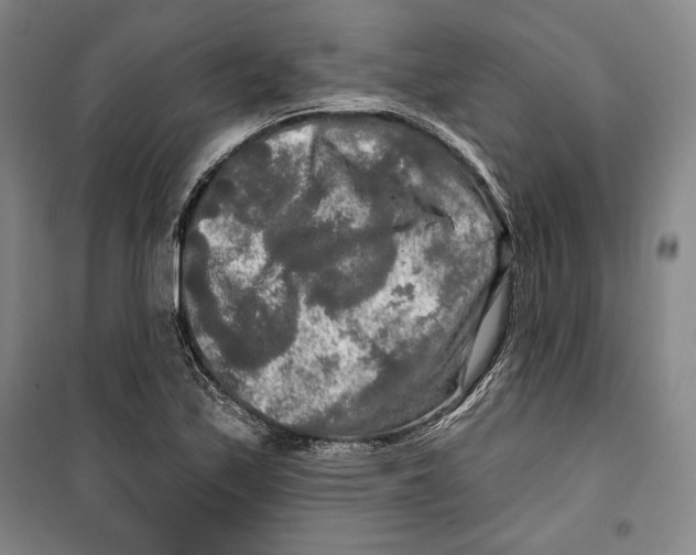 X0000099451171200806061059