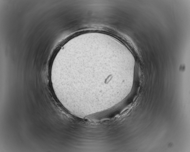 X0000099451172200806061059