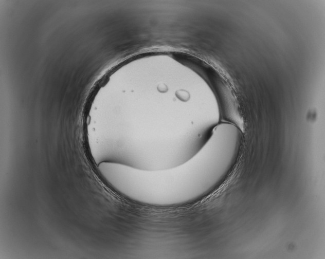 X0000099451173200806061059