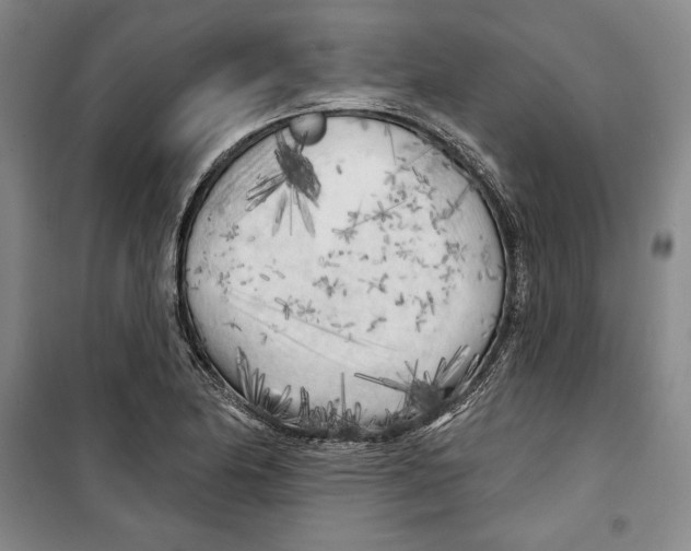 X0000099451174200806061059