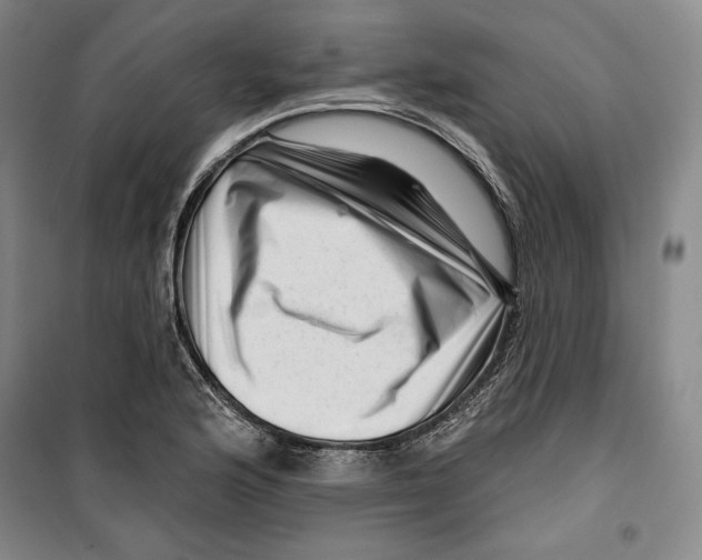 X0000099451176200806061059