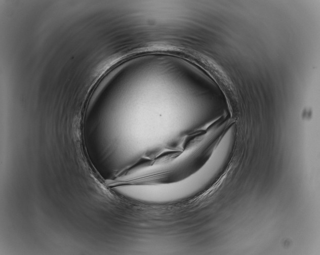 X0000099451177200806061059