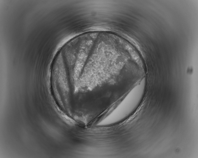 X0000099451179200806061059