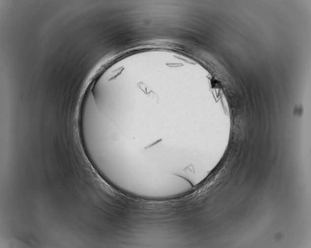 X0000099451180200806061059