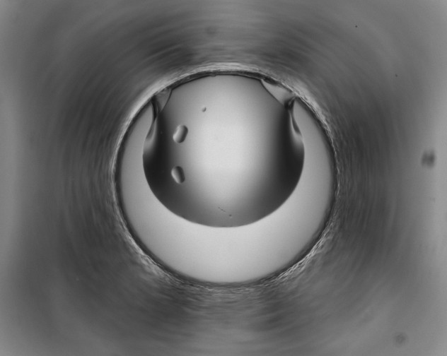 X0000099451181200806061059