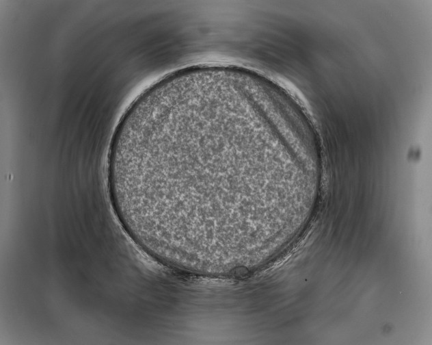 X0000099451183200806061059