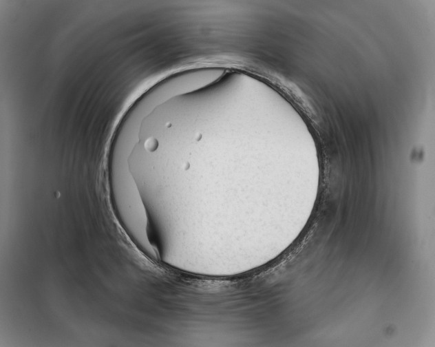 X0000099451184200806061059