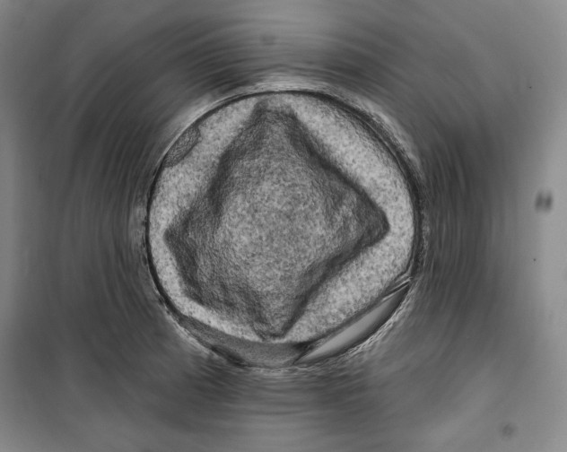 X0000099451185200806061059