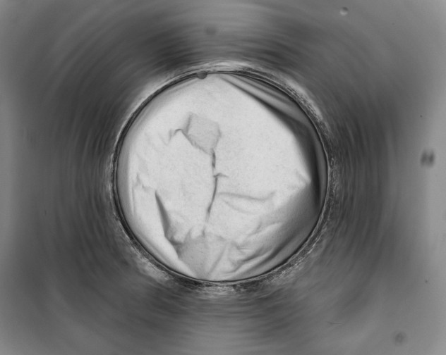 X0000099451186200806061059