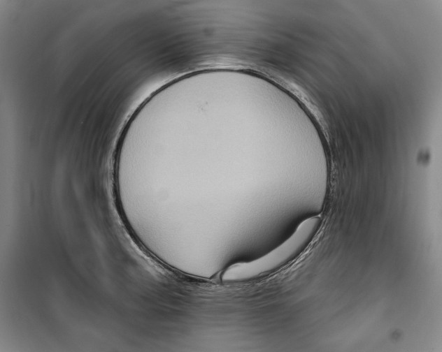 X0000099451187200806061059