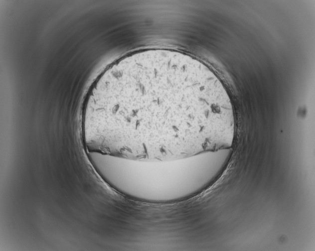 X0000099451188200806061059