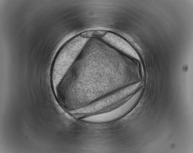 X0000099451189200806061059