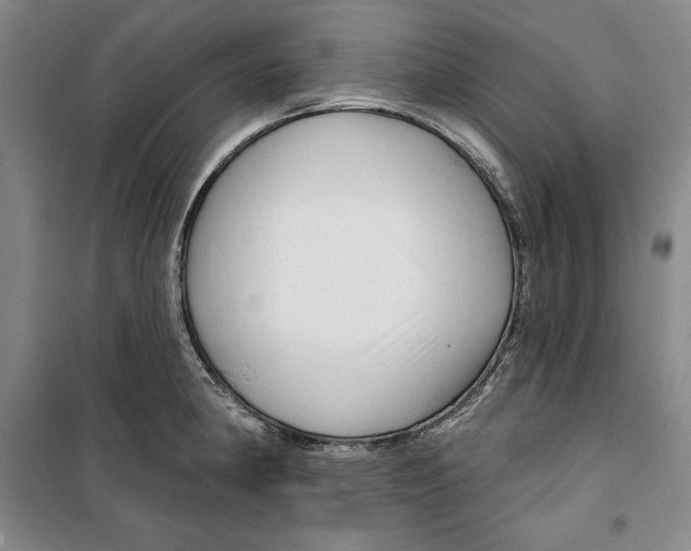 X0000099451190200806061059