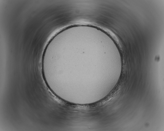 X0000099451191200806061059