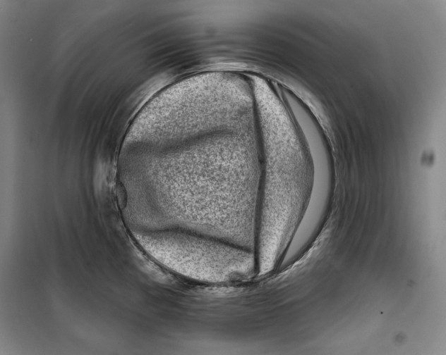 X0000099451193200806061059