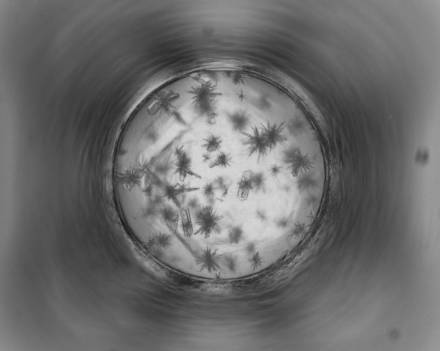 X0000099451194200806061058