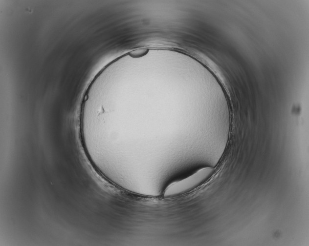 X0000099451195200806061058