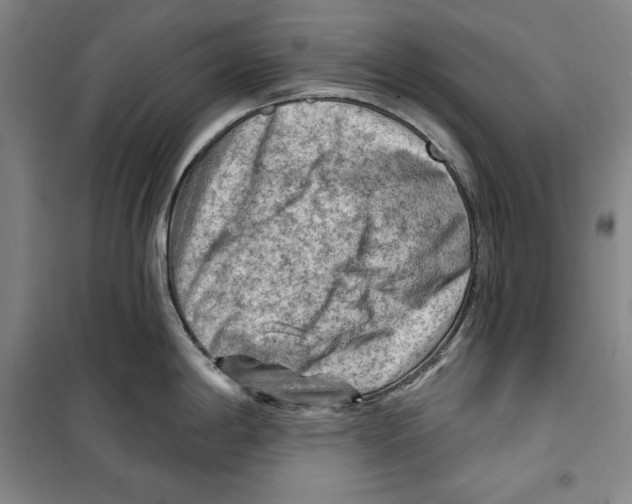 X0000099451198200806061058