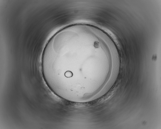 X0000099451199200806061058