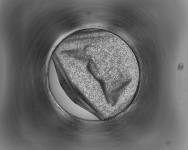 X0000099451200200806061058