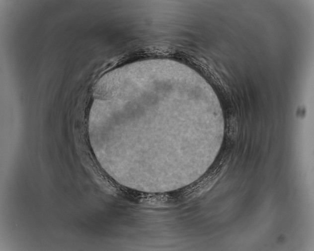 X0000099451201200806061058