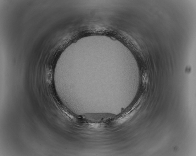 X0000099451204200806061058