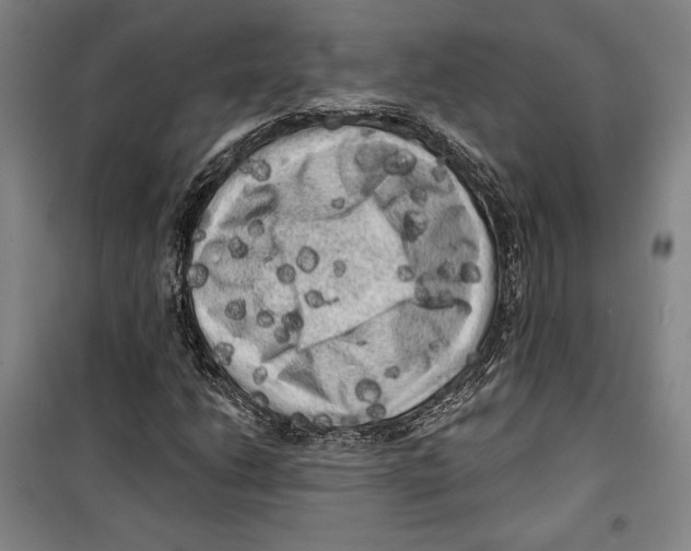 X0000099451206200806061058