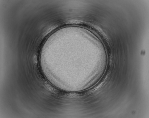 X0000099451209200806061058