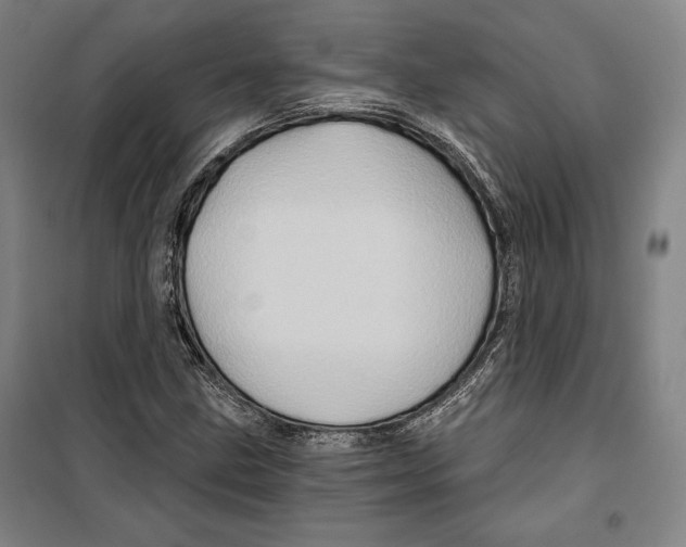 X0000099451211200806061058