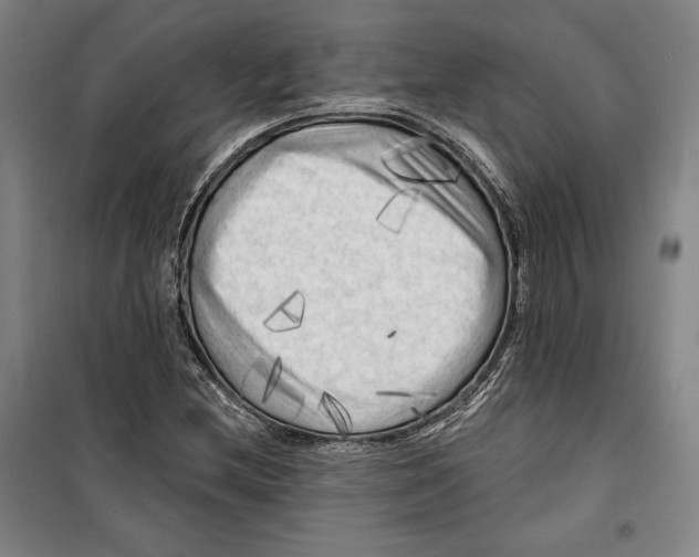 X0000099451212200806061058