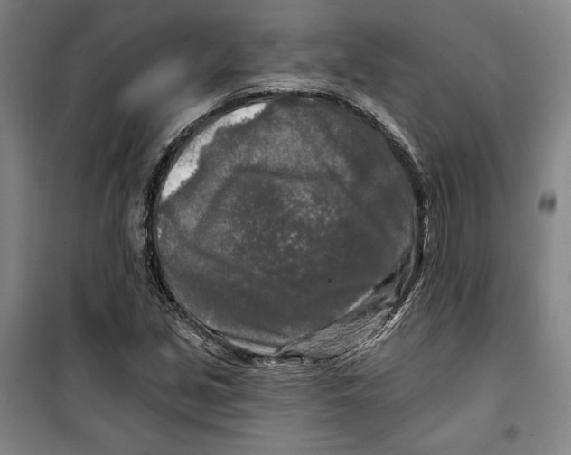 X0000099451213200806061058