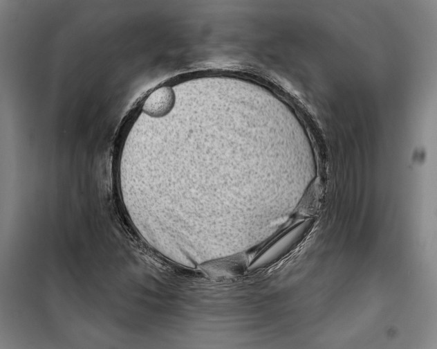 X0000099451214200806061058