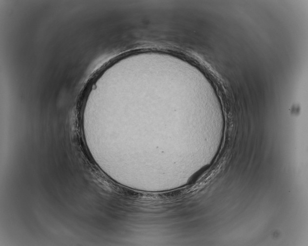 X0000099451215200806061058