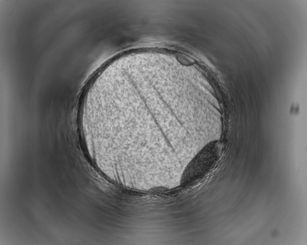 X0000099451216200806061058