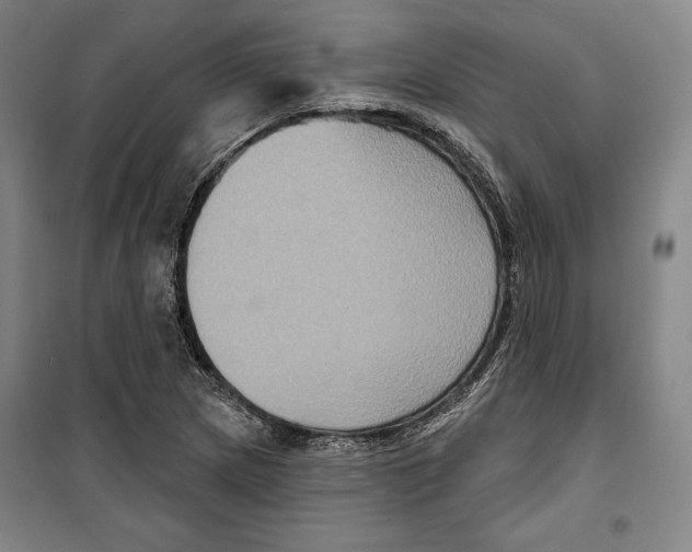 X0000099451217200806061058