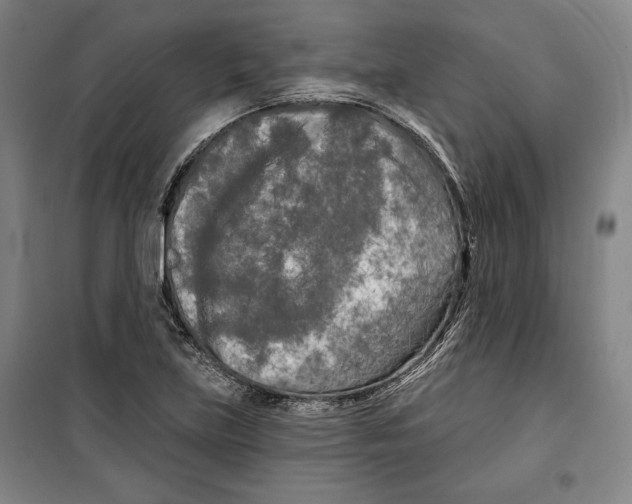 X0000099451219200806061058