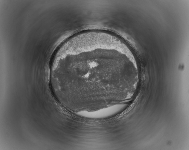 X0000099451221200806061058