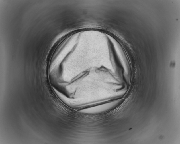 X0000099451222200806061058