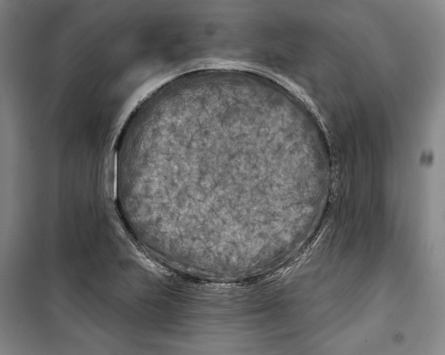 X0000099451223200806061058