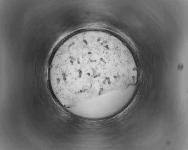 X0000099451224200806061058