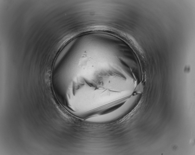 X0000099451225200806061058