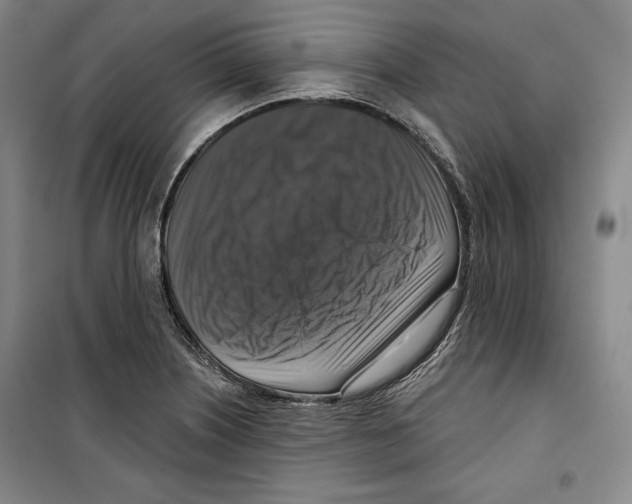 X0000099451226200806061058