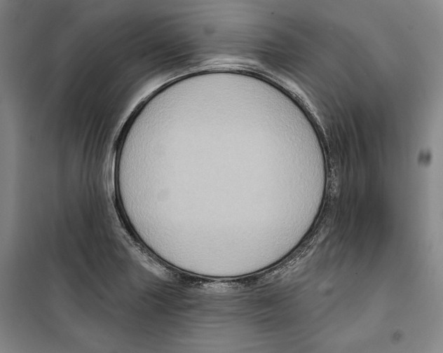 X0000099451227200806061058