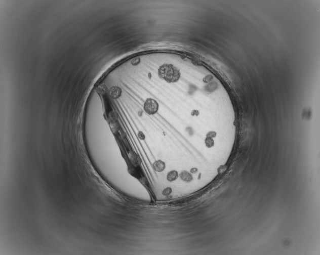 X0000099451228200806061058